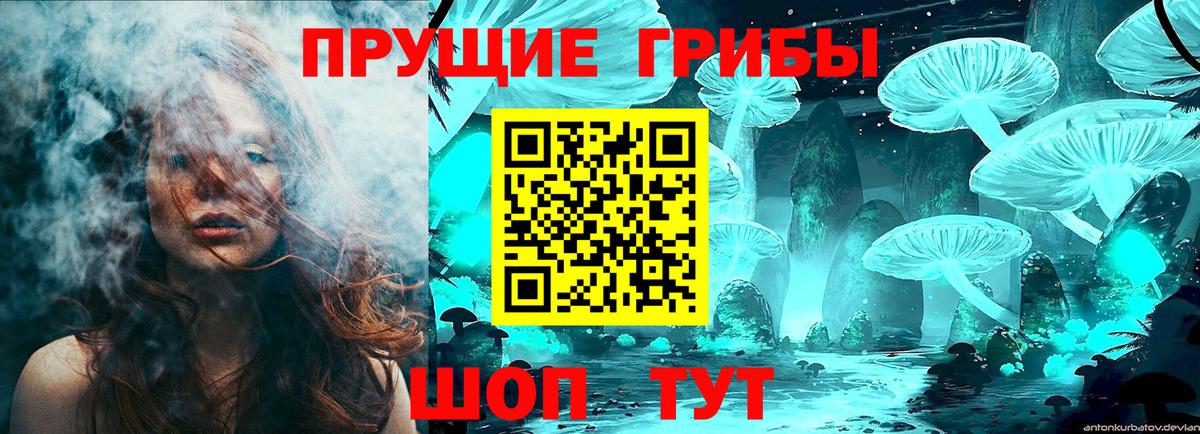 Медногорск  как найти   Вход с VPN  Псилоцибиновые грибы мухоморы 
